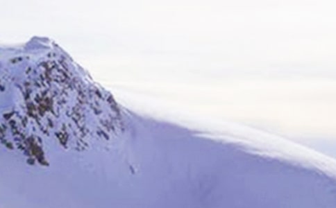 玉龍雪山作文15篇(薦)