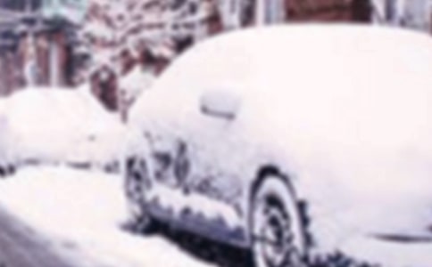 青海南部冬季積雪和雪災變化的特征及其預評估