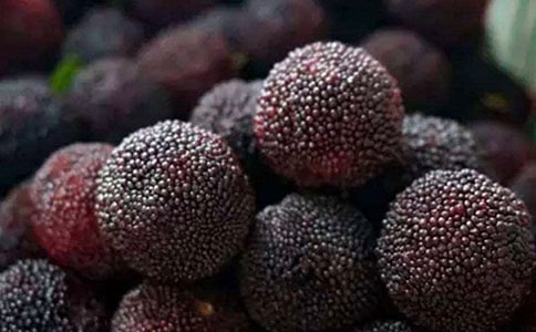 家鄉的楊梅作文