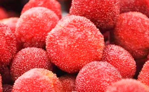 [���A]���l�ė�÷����