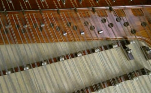 �ǃ��h���ƓP������