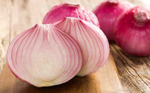 (精華)讀《洋蔥頭歷險(xiǎn)記》后感