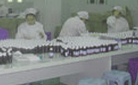 暑期制藥廠實踐報告范文