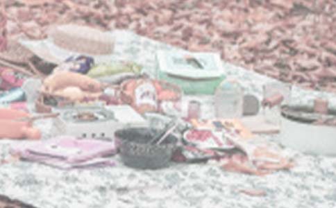 野餐的作文常用(14篇)