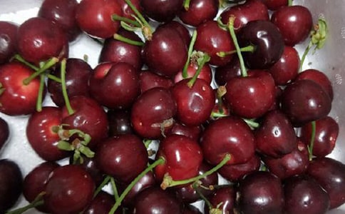 有關摘櫻桃的作文