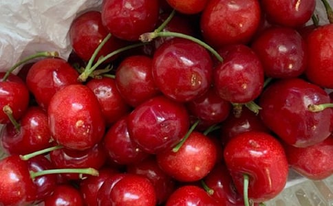 櫻桃樹作文15篇【優選】