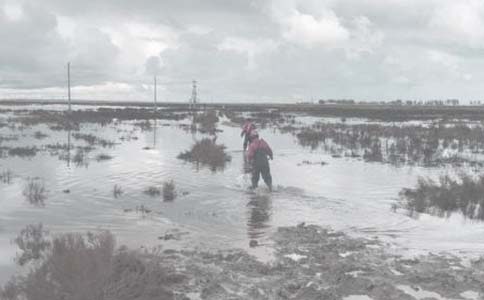 油田四季度宣傳工作的要點