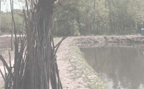 �~(y��)���D(zhu��n)׌��ͬ��ͨ��17ƪ��