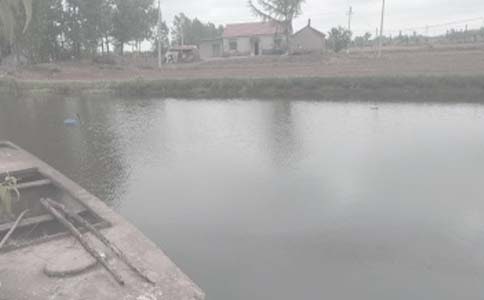 承包魚塘合同書樣本(通用10篇)