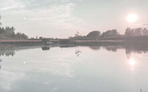 �~��������