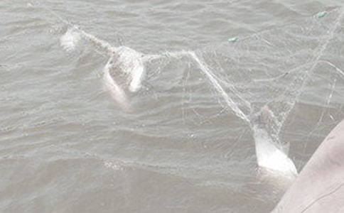 難忘的漁網編織敘事作文