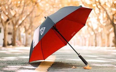 (精華)雨傘借給誰作文