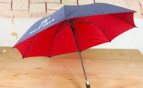 雨傘該給誰作文(集合9篇)