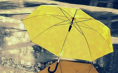 雨傘的作文集錦(15篇)