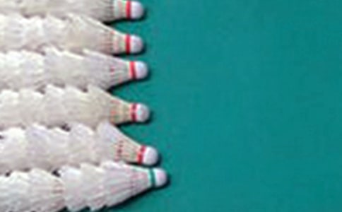 (薦)打羽毛球作文