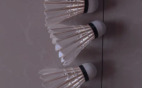 羽毛球大戰作文【共4篇】