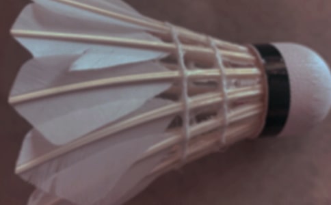 (薦)打羽毛球作文15篇