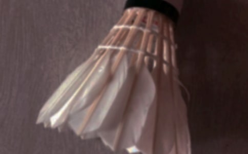 我愛羽毛球作文