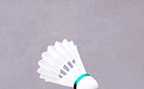 打羽毛球作文(錦集14篇)