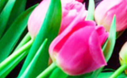 (實(shí)用)郁金香作文