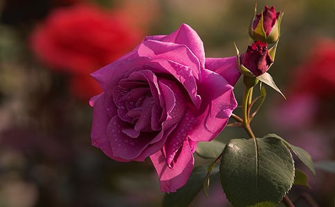 �¼�����300�֣�ͨ��23ƪ��