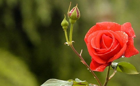 �¼������ġ��ϼ���