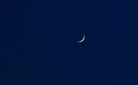 �����Ƀ������̾伯�\��2ƪ��