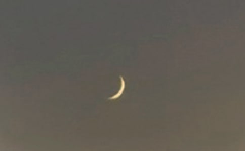 �茑������Ԋ��[����15ƪ]