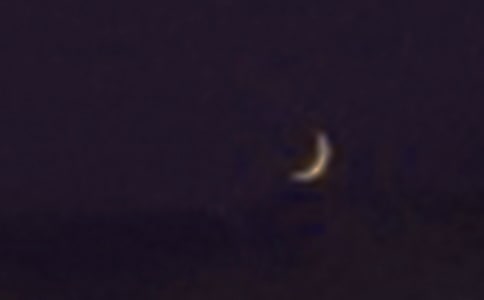 (經(jīng)典)我的家在月亮上14篇