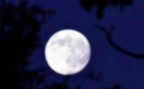 �����A�r(sh��)����15ƪ[���x]