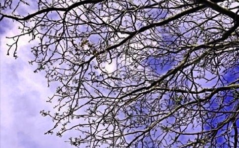 �����簲���Z����20�l