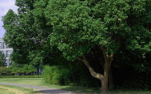 2024年精選動人的早安心語短信38條