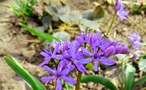 2024年精選適合早上發的早安問候語短信摘錄44句