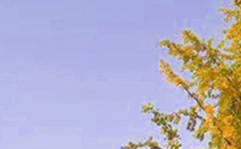 �����A�������簲�����Z���Ŵ�R��65�l