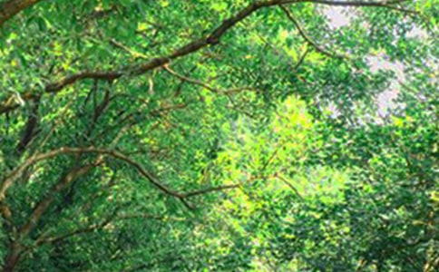 �����]��Ψ�����簲���Z����32��