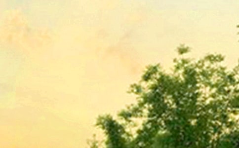 【熱門】2023年優(yōu)美的早安心語短信48條