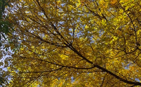 【必備】2023年朋友早安問候語短信摘錄67條