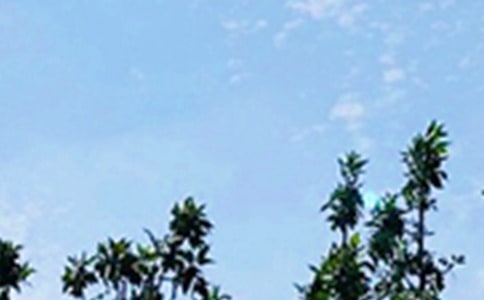 常用治愈系早安問候語短信匯編62句