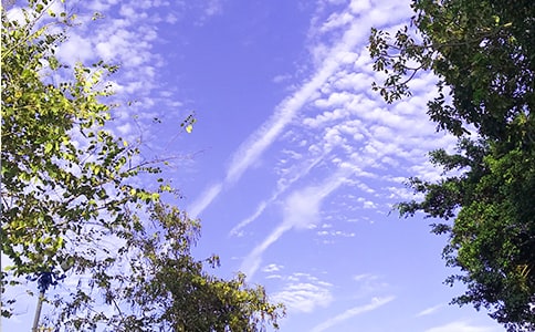 ���x�m�����ϰl���簲�����Z����ժ�35��