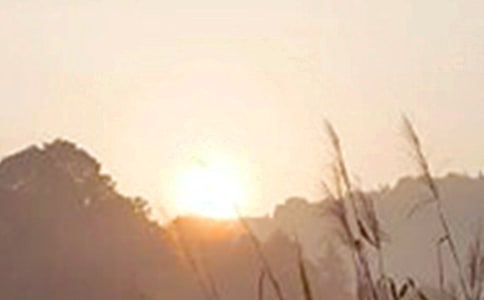 2024年優美的早安問候語短信集合53條