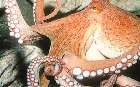 ���~��������������