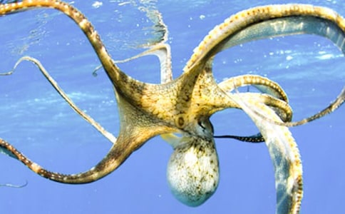 �P(gu��n)�����~(y��)������