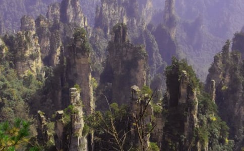 迷人的張家界作文