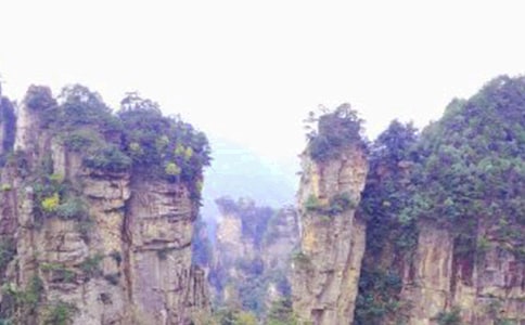 �Ώ��ҽ�����(��Ʒ)