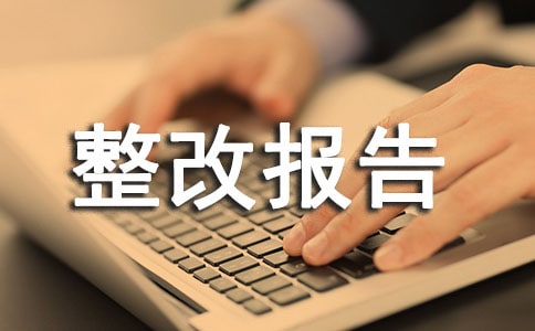 保密自查自評整改報告