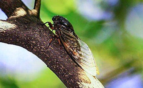 ֪�ˌW�w���ľ��x(10ƪ)