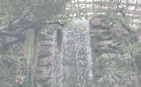 春游植物園作文