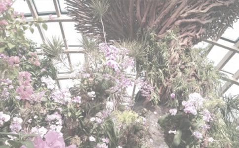 植物園小學生游記