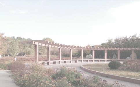 ��ֲ��@���ģ�ͨ��29ƪ��