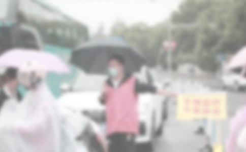 我是小小志愿者作文